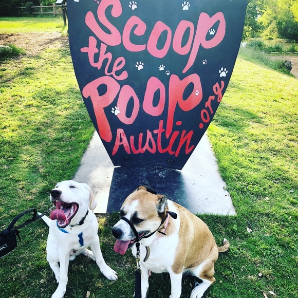 Meet your Posher, Shelby - Picture 2 of 2